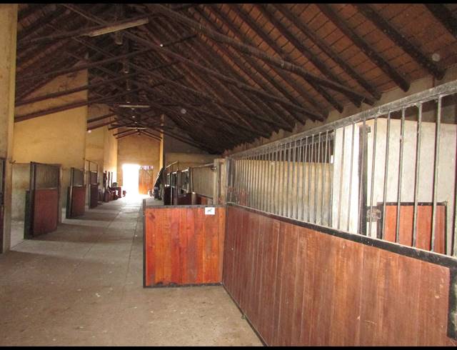6HA SMALLHOLDING FOR SALE IN WHITE RIVER ESTATES